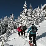 Premium Wanderhotel Steirerhof 호텔