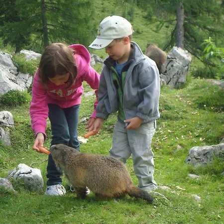 Premium Wanderhotel Steirerhof Hotel