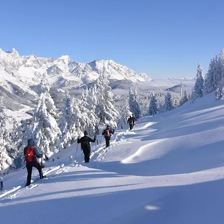 Premium Wanderhotel Steirerhof 4* Schladming