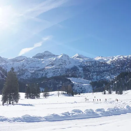 Premium Wanderhotel Steirerhof 4*
