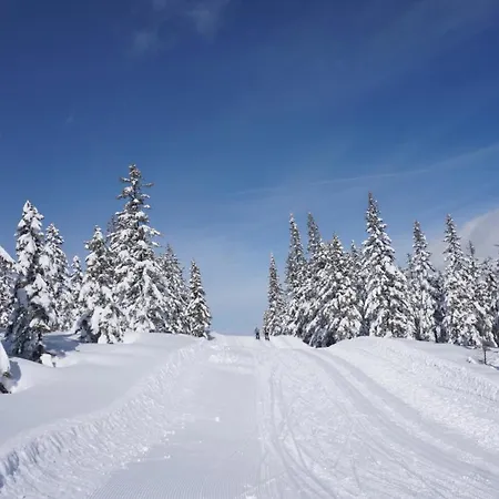 Hotel Premium Wanderhotel Steirerhof Schladming