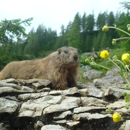 Premium Wanderhotel Steirerhof Hotel