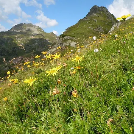 Premium Wanderhotel Steirerhof 4*