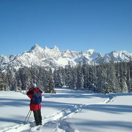 Premium Wanderhotel Steirerhof Hotel 4*