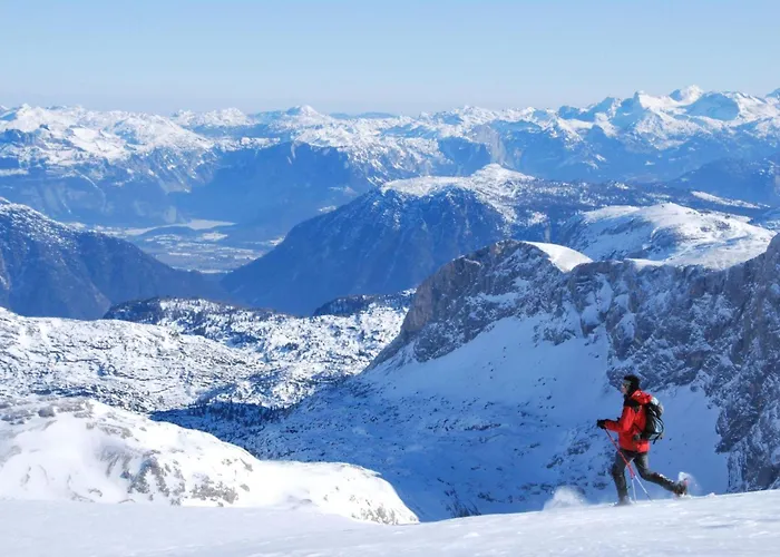 Hotel Premium Wanderhotel Steirerhof 4*