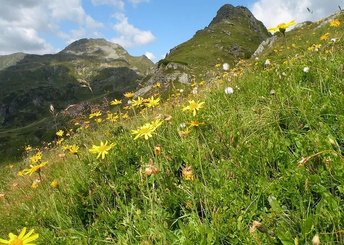 Premium Wanderhotel Steirerhof 4*