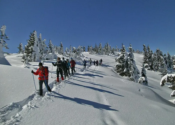 Premium Wanderhotel Steirerhof Hotel 4*