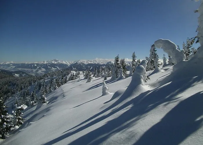 Premium Wanderhotel Steirerhof 酒店