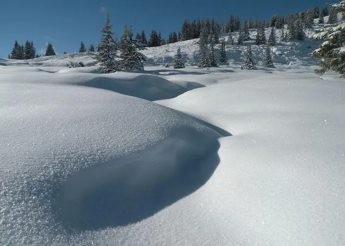 Premium Wanderhotel Steirerhof 4* 斯拉德明