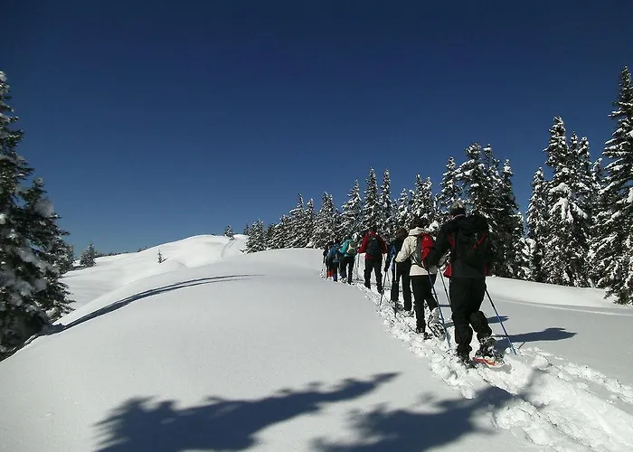 Premium Wanderhotel Steirerhof 4*