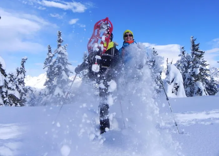 酒店 Premium Wanderhotel Steirerhof 4*