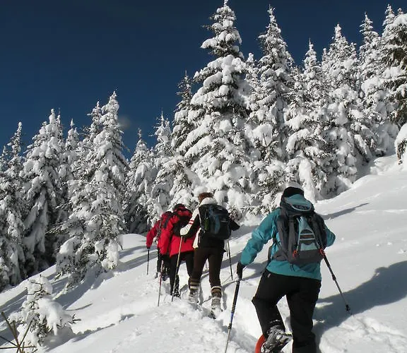 Premium Wanderhotel Steirerhof Hotel