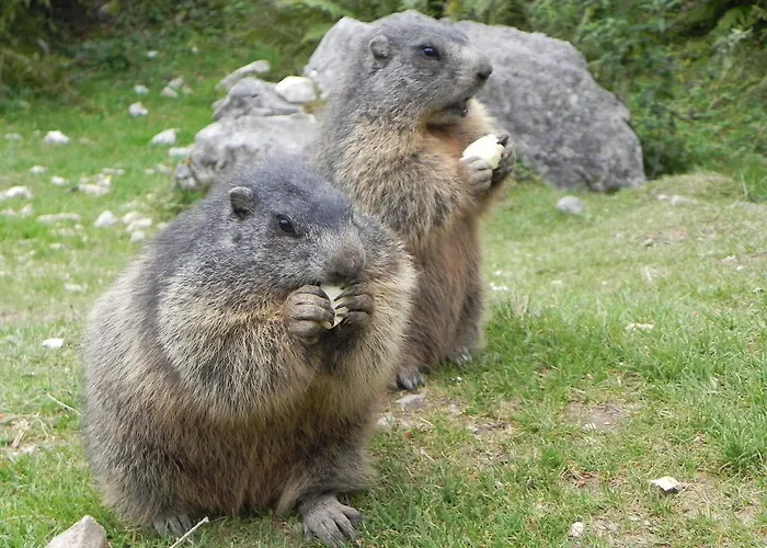 Premium Wanderhotel Steirerhof 4*